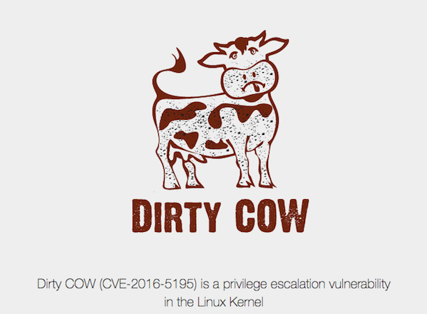 dirty-cow-logo